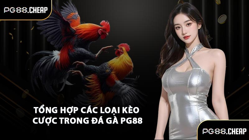 Tổng hợp các loại kèo cược trong đá gà PG88