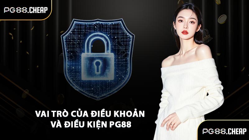 Vai trò của điều khoản và điều kiện PG88